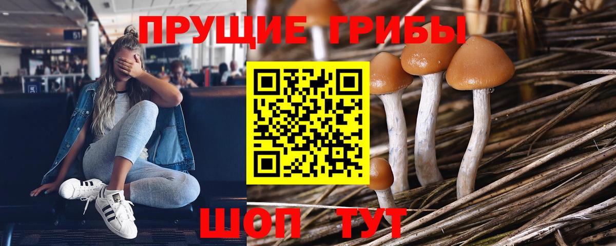 Псилоцибиновые грибы Psilocybine cubensis  Вход с VPN  Сальск  Галлюциногенные грибы мухоморы 